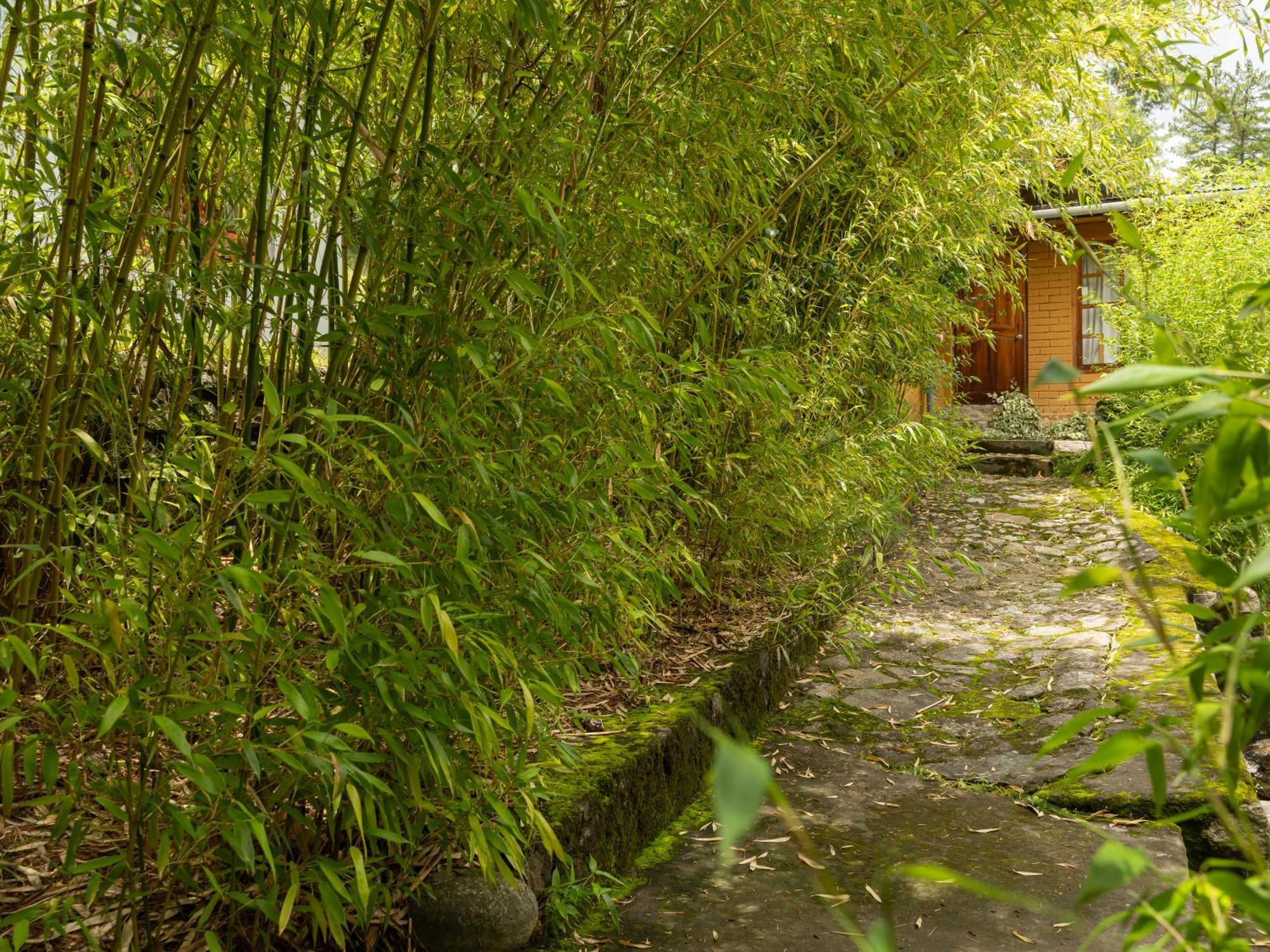 Tiger'S Nest Resort - Best Resort In Паро Экстерьер фото